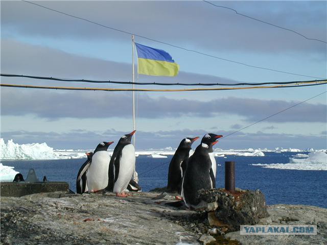 Праздник 22 июня
