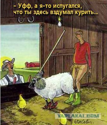 Рисованные эротические приколы