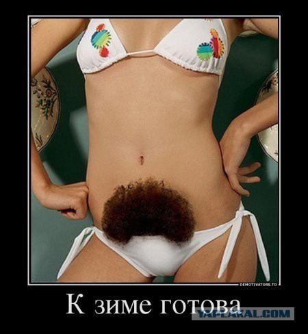Вопрос от Мамы Стифлера.