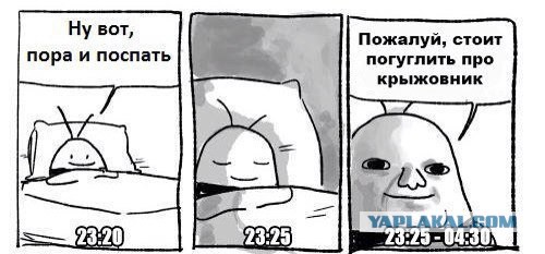 Приколы из сети