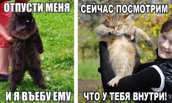 Подборка картинок
