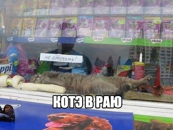 Позитив на воскресенье