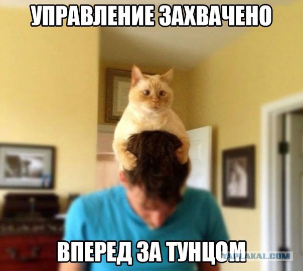 Отовсюду понемногу