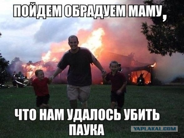 Смешные комментарии из соцсетей