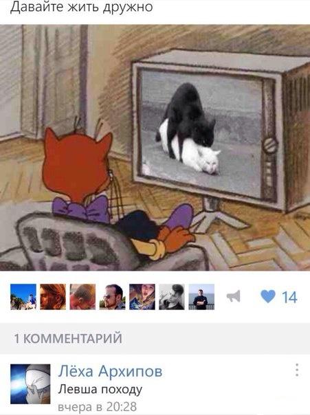 Смешные комментарии из социальных сетей