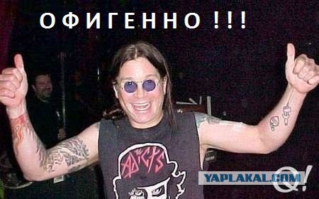 Так, я не понял?! Это что за фигня?!