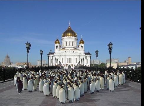Прикольная фотоподборка