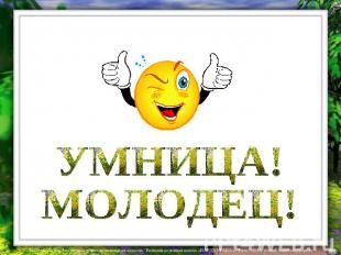 Жена валяет дурака (котиков)
