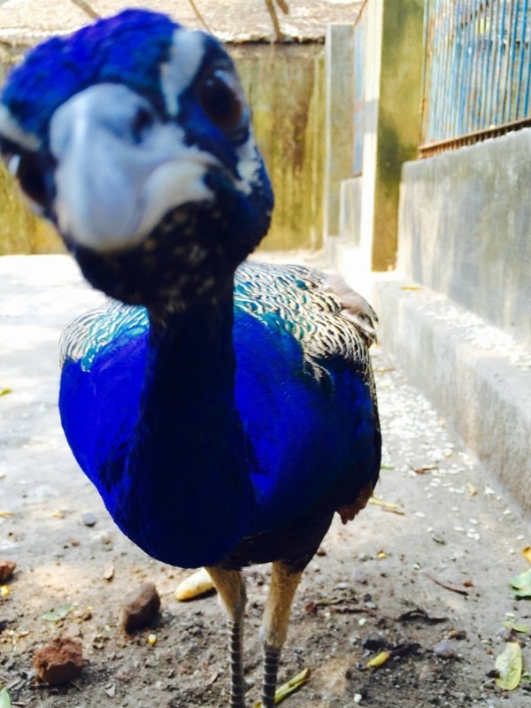 Красивые фото