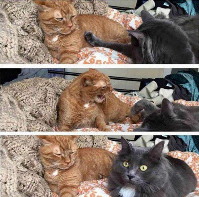 Абсурдный юмор ч.22