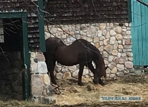 WTF: Что тут происходит?