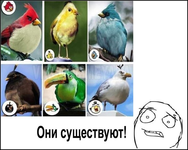 Подборка интересных и смешных картинок