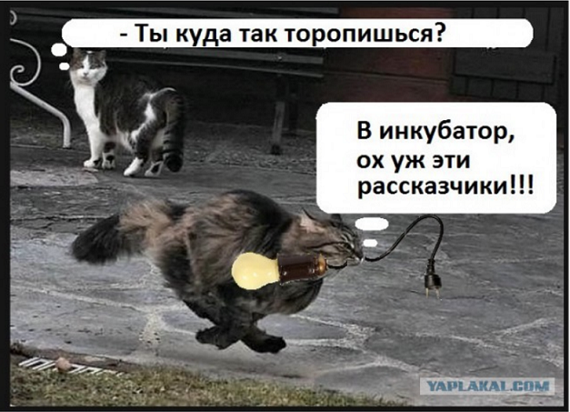 Сбылась московская мечта