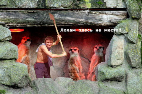 Фотожаба: Дай друг лопату мне