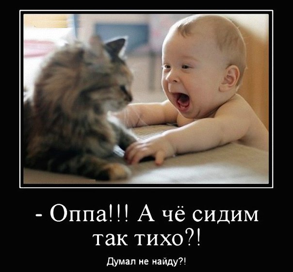 Немного картинок и гифок.