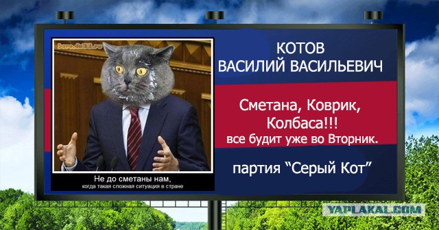 Стань кандидатом от ЯПа
