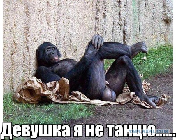 ПрЫнц