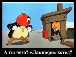 Так жить нельзя: 8 кв. метров