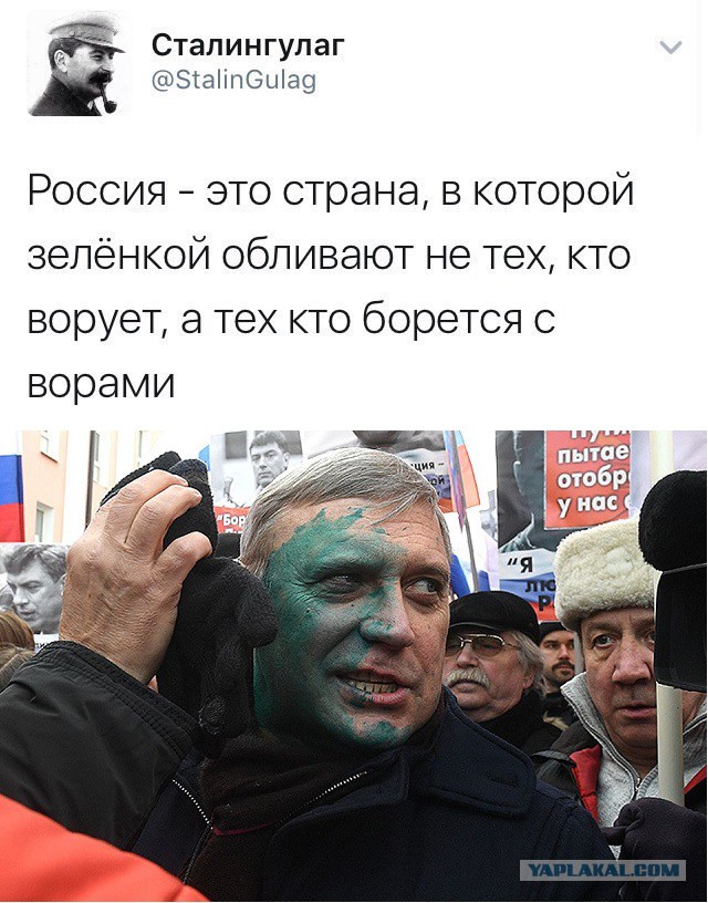 Подборка перлов и высказываний