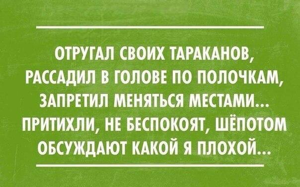 Точка бифуркации пройдена...