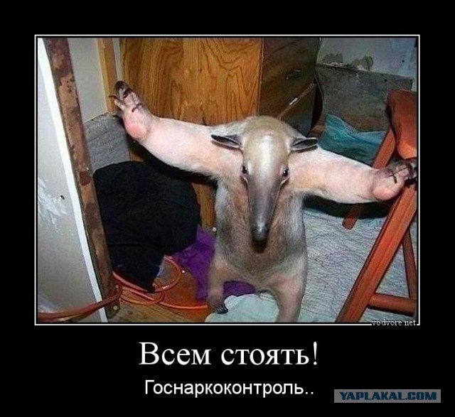 От одной женщины муж ушел. Ничего забирать не стал. Просто в один прекрасный день ушел и домой не вернулся.