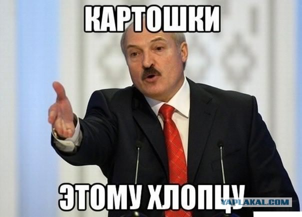 255 штук. Сегодня. Один человек. 2 часа.