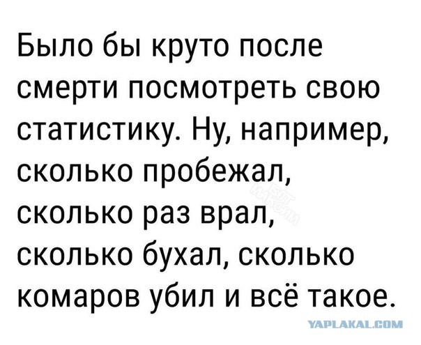 Wargaming 49