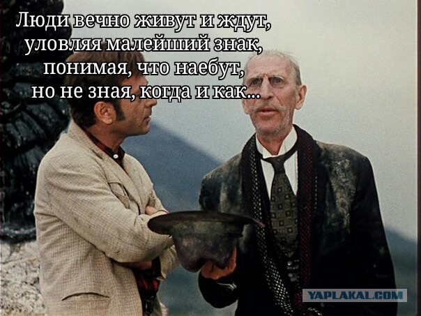 Вечерний сарказм
