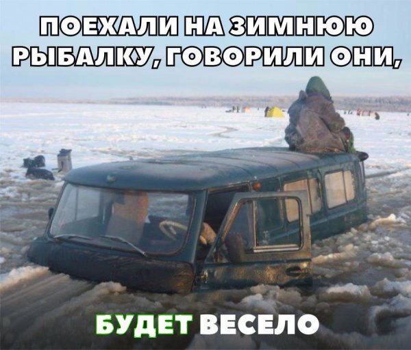 Смешные картинки с подписями