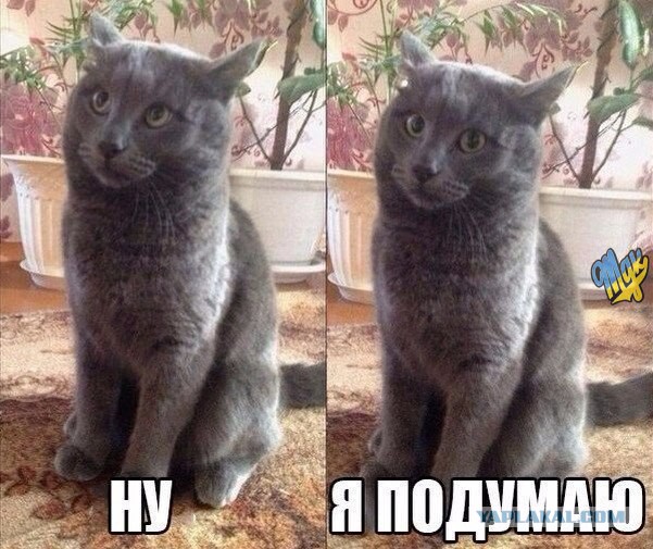 World of Warships - 5