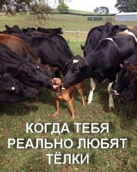 Подборка картинок для настроения