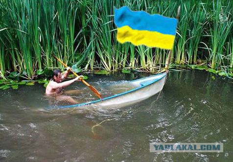 Пограничники задержали в Черном море ловившее камбалу украинское судно