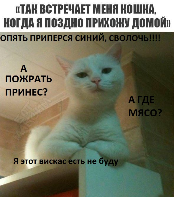 Нестандартный юмор