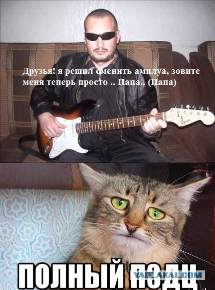 Пашкет, демотиваторы и мемы
