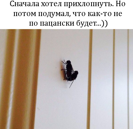 Разные картинки из интернета