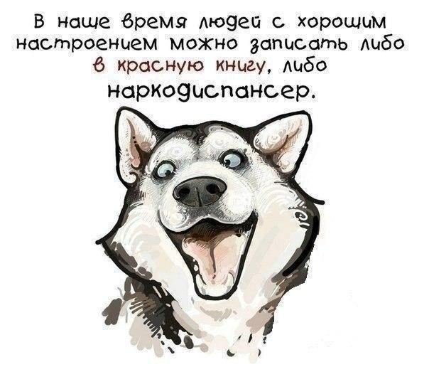 Немного веселых картинок из этих наших интернетов