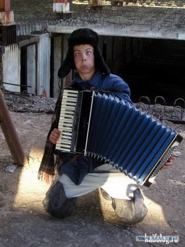 Пьяный баянист картинки
