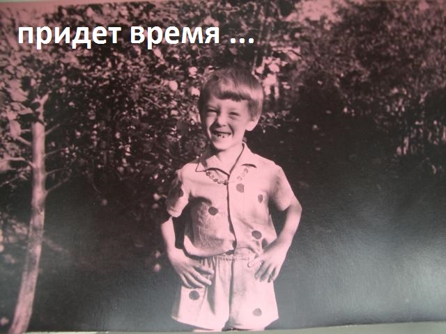 ЯПлакалус организмус