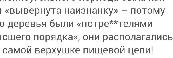 Чем питалась меганевра? Изучаем меню гигантского насекомого древности