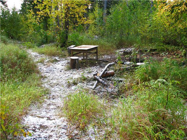 Экспедиция в тайгу. Туризм в тайге. Туристический маршрут гора пидан приморский край. Экспедиция в лес. Таежные стоянки охотников.