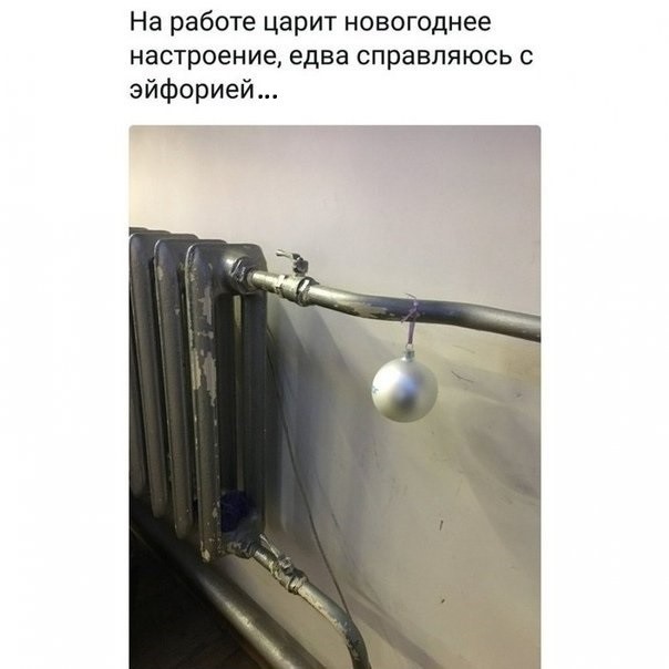 Чуток картинок! 13.12.19