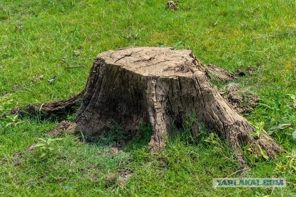 Фотографии, которые мгновенно расширят кругозор и изменят представление о нашем мире