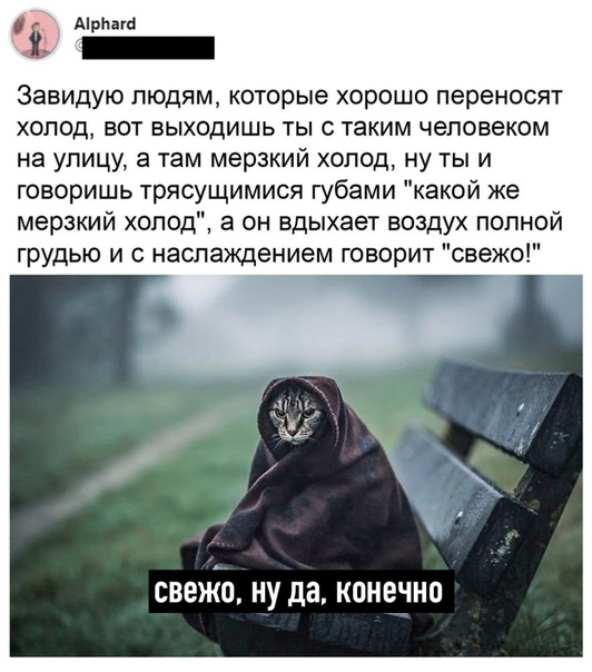Немного картинок для настроения 30.10.20