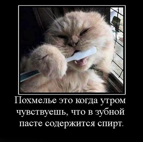 Алкопост 7.11.20
