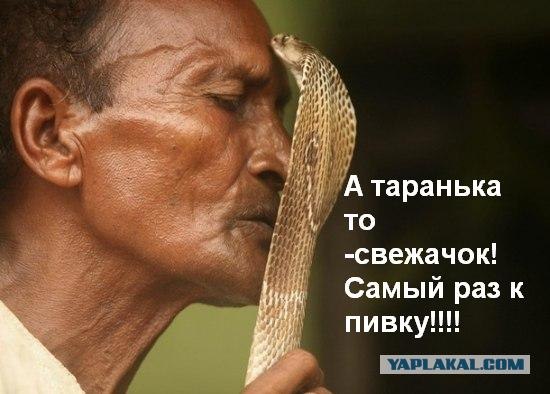 Заклинатели змей