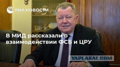 ФСБ объявила, что перекрыла крупный канал контрабанды кокаина из Южной Америки в Россию и Европу