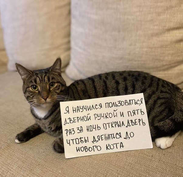 Добрые картинки 28.11.20