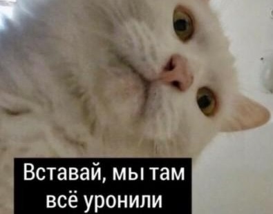 Дальше будет хуже, атака на правительственные сайты РФ