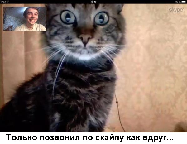 Юмор и прикольные картинки 14.05.2021
