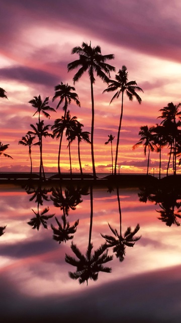 Упоротый Джа-дзен-пост